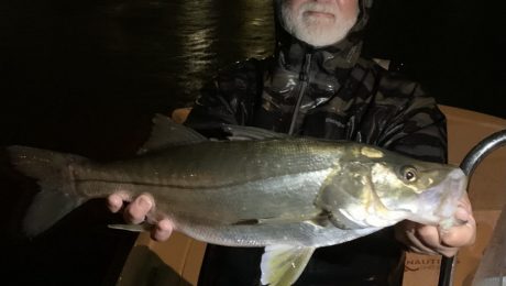 Dock Light Snook Only On A Fly